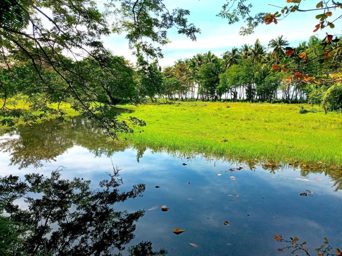 Villa Eliza Ecofarm Tibiao Dış mekan fotoğraf