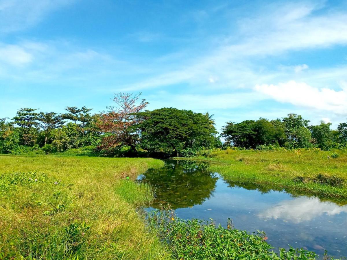 Villa Eliza Ecofarm Tibiao Dış mekan fotoğraf